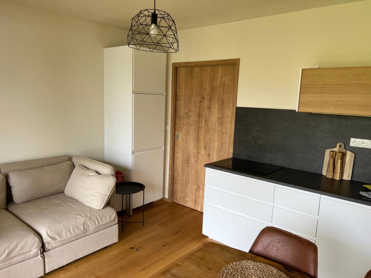 Apartman Boruvka Zelezna Ruda Ngoại thất bức ảnh
